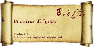 Brezina Ágnes névjegykártya