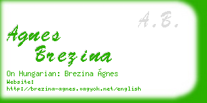 agnes brezina business card