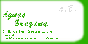 agnes brezina business card